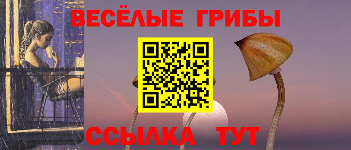 Бийск  Псилоцибиновые грибы ЛСД  Вход с VPN 
